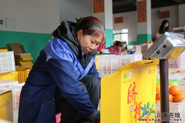 深化东西部产销对接 古蔺农特产品热销青田(图7) 深化东西部产销对接 古蔺农特产品热销青田(图7)