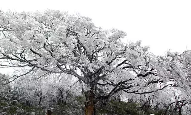 泡温泉、看悬棺、吃土火锅！宜宾这2条新高速沿线好吃又好玩…...(图28)