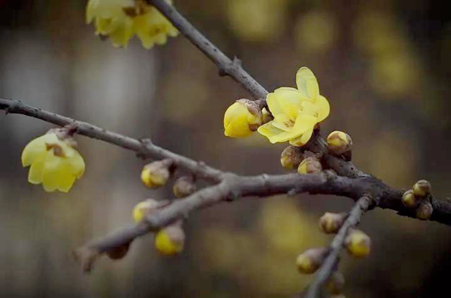 泸州：阳光串场来啦！