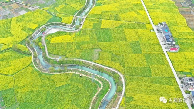 古蔺一年四季都有美景，不信你看！(图6)