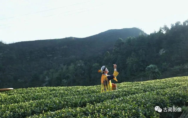 古蔺一年四季都有美景，不信你看！(图14)