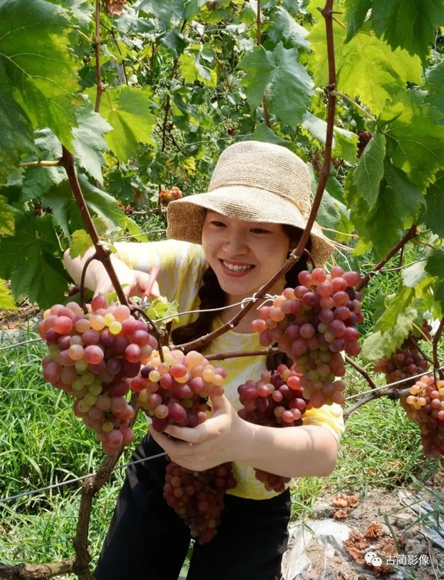 古蔺一年四季都有美景，不信你看！(图24)