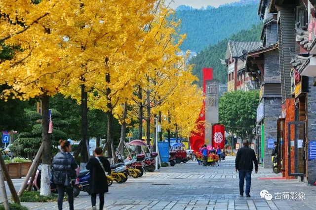 古蔺一年四季都有美景，不信你看！(图29)