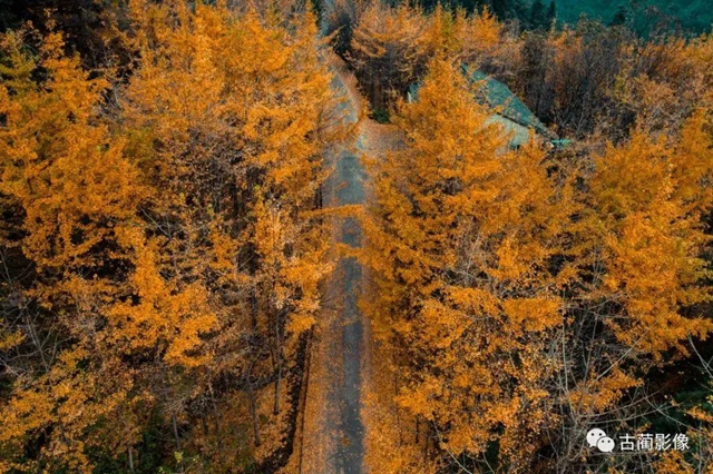 古蔺一年四季都有美景，不信你看！(图31)