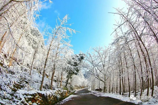 古蔺一年四季都有美景，不信你看！(图38)