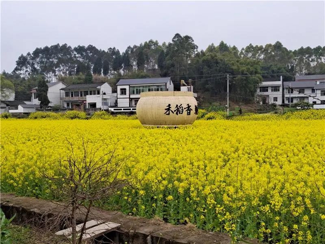 打卡打卡！比《向往的生活》还惊艳的村子，就在内江这里！(图2)