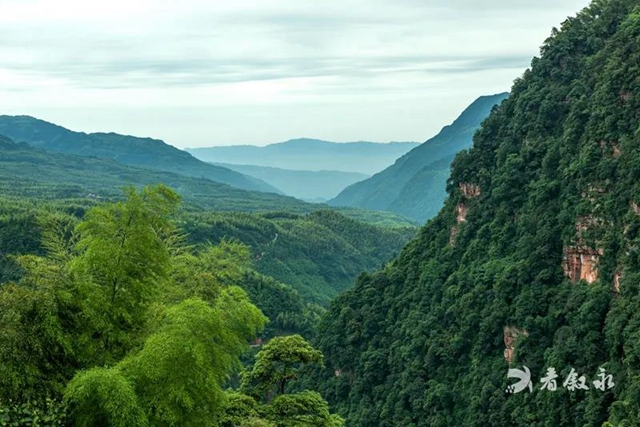 康养竹乡·画稿叙永┃2022,邀您共赏叙永十大美景(图4) 康养竹乡·画稿叙永┃2022,邀您共赏叙永十大美景(图4)