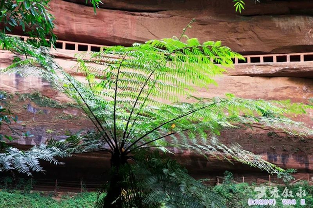 康养竹乡·画稿叙永┃2022,邀您共赏叙永十大美景(图14) 康养竹乡·画稿叙永┃2022,邀您共赏叙永十大美景(图14)