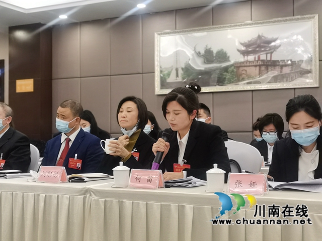 泸州盟员何苗在市“两会”上发言:建立中国驼峰航线博物馆(图1) 泸州盟员何苗在市“两会”上发言:建立中国驼峰航线博物馆(图1)