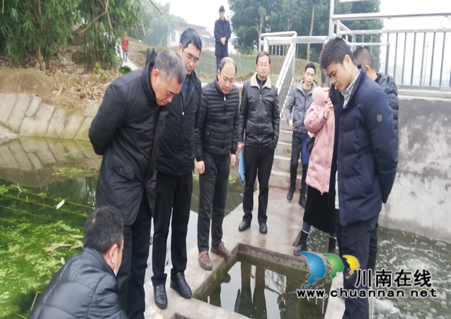 泸州市农业农村局到泸县云龙镇开展农业面源污染防治督导工作(图2)