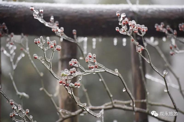 湖光山色、春花冬雪......山地康养旅居地，泸州给你安排上！(图9)