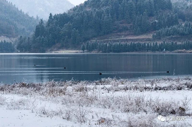 湖光山色、春花冬雪......山地康养旅居地，泸州给你安排上！(图16)