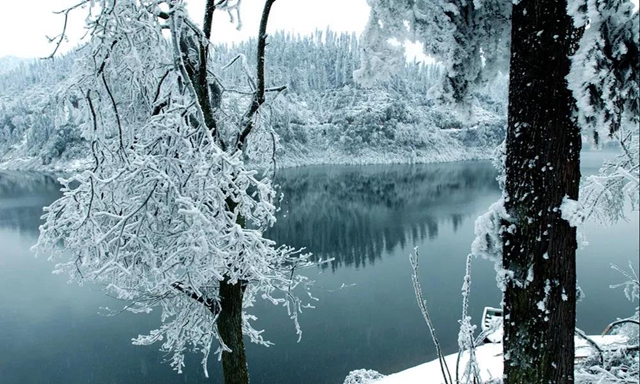 湖光山色、春花冬雪......山地康养旅居地，泸州给你安排上！(图29)