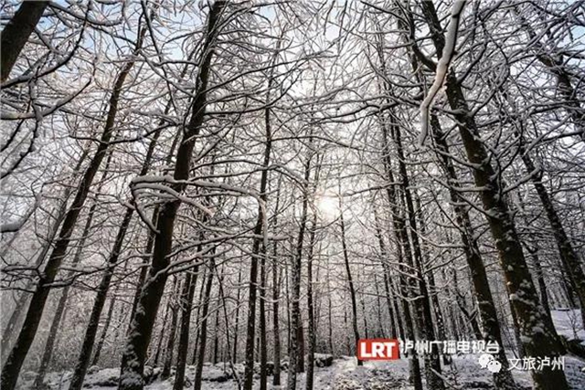 湖光山色、春花冬雪......山地康养旅居地，泸州给你安排上！(图31)