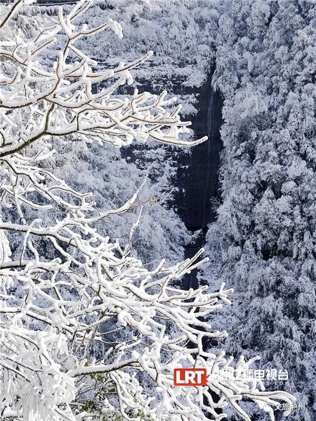 湖光山色、春花冬雪......山地康养旅居地，泸州给你安排上！(图30)