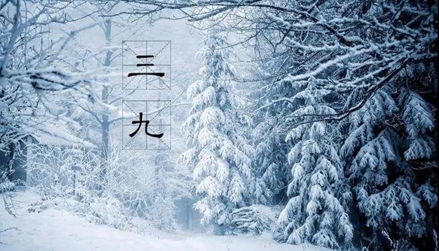 【围观】进入最冷的“三九”天，泸州气温再降？