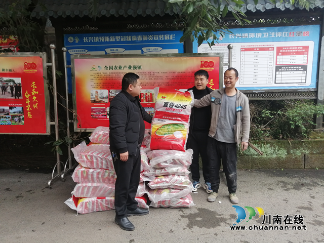 宜宾南溪区长兴镇：酿酒专用粮种子免费发放农户(图2)