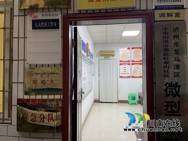 龙马潭区小市街道杜家街社区：扮靓人大代表工作室，服务居民(图2)