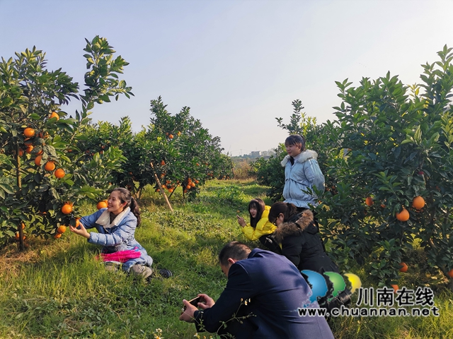 泸县牛滩：大学生返乡创业，果园成市民网红打卡地(图4)