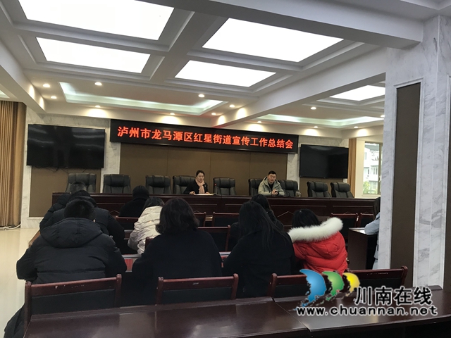 龙马潭区红星街道开展宣传工作总结会议(图1)