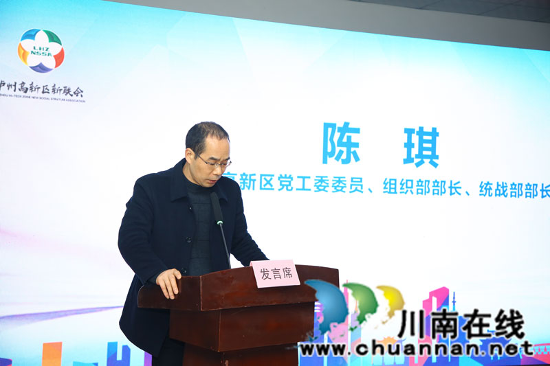 泸州高新区党工委委员、组织部部长、统战部长陈琪讲话.jpg