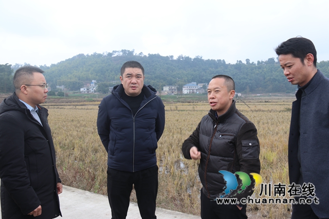 王先奎率队到泸县百和镇调研“东翼”建设工作(图3)