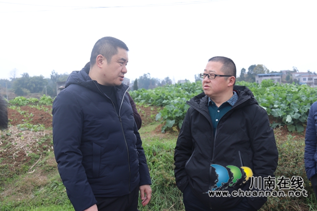 王先奎率队到泸县百和镇调研“东翼”建设工作(图5)