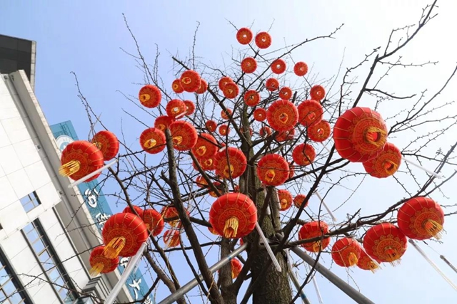 【围观】大红灯笼高高挂，这一天西南医大中医院格外喜庆！(图2)