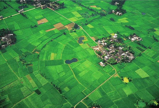 2021年全省居民人均可支配收入29080元 同比增长9.6%(图3)