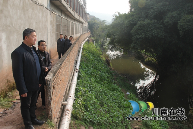 杨双全率队督导泸县小鹿溪河河长制工作(图1)