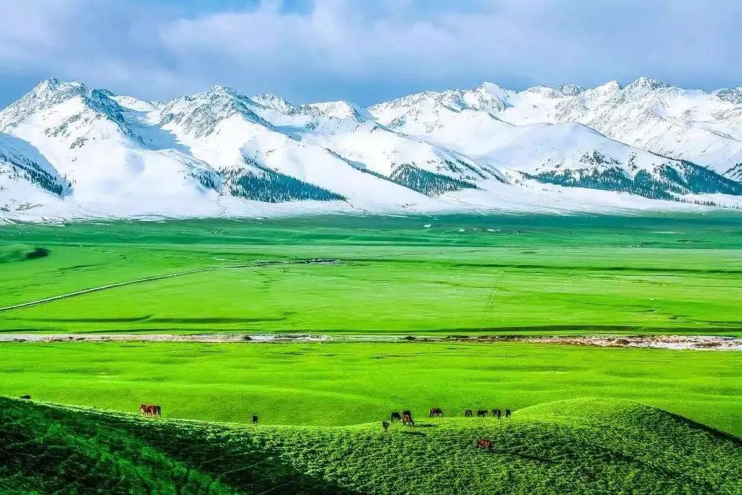 【航班快讯】泸州飞三亚/乌鲁木齐/泉州加密，合肥恢复啦！(图9)