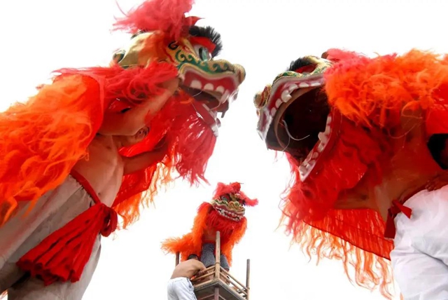 年味泸州丨祥龙腾飞、瑞狮欢跃……舞出“非遗”魅力祥龙腾飞、瑞狮欢跃……舞出“非遗”魅力(图4)