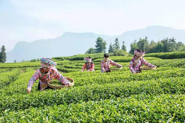 山川辽阔，人间值得丨踏上叙永丹山之旅(图7)