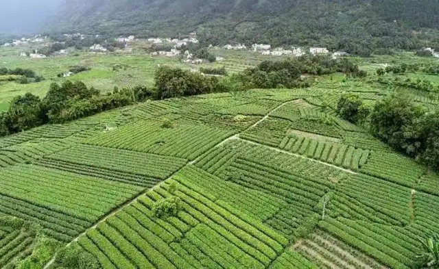 山川辽阔，人间值得丨踏上叙永丹山之旅(图8)