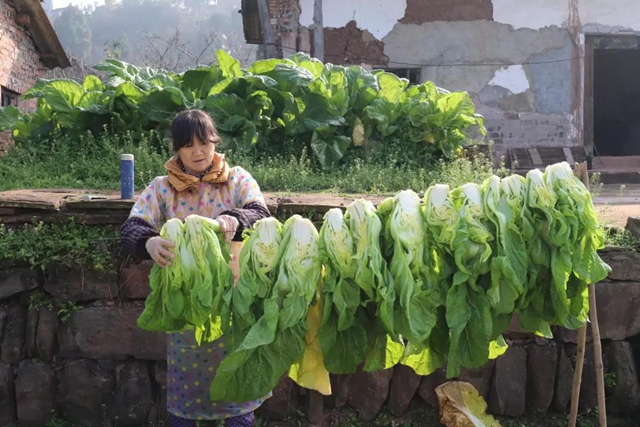 古蔺独特味道！这私藏美味，你没吃过就太可惜啦！(图3)