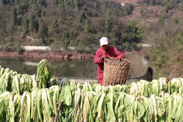 古蔺独特味道！这私藏美味，你没吃过就太可惜啦！(图4)