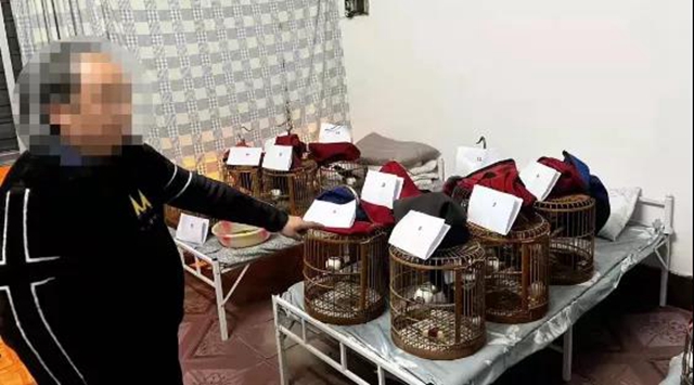 被解救放生！它们是国家二级重点保护野生动物(图1)