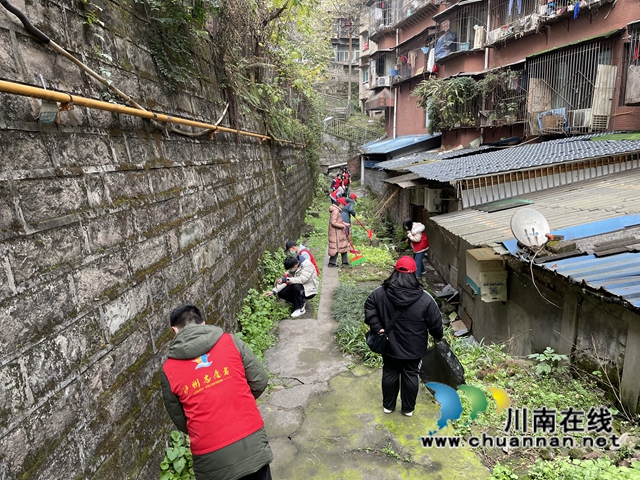 龙马潭区小市街道杜家街社区开展环境卫生整治行动(图4)