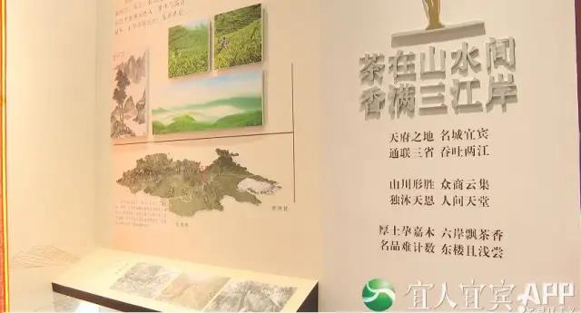 这个春节 宜宾“新十景”你都打卡了哪些？(图4)