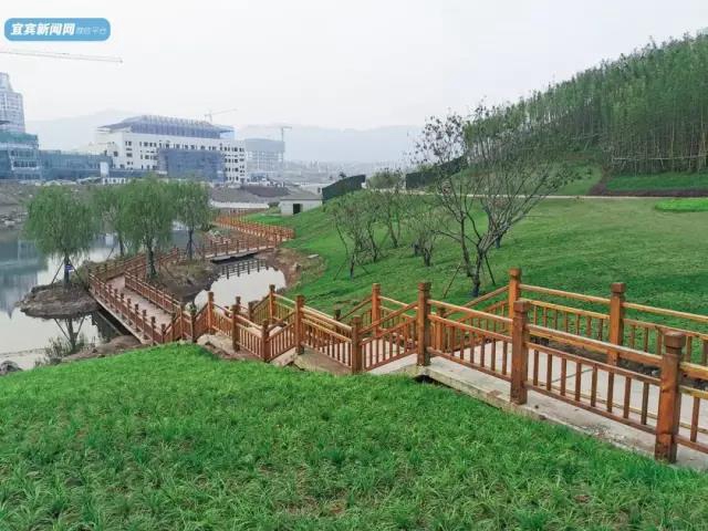 这个春节 宜宾“新十景”你都打卡了哪些？(图13)
