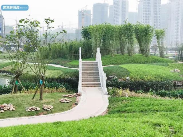 这个春节 宜宾“新十景”你都打卡了哪些？(图12)