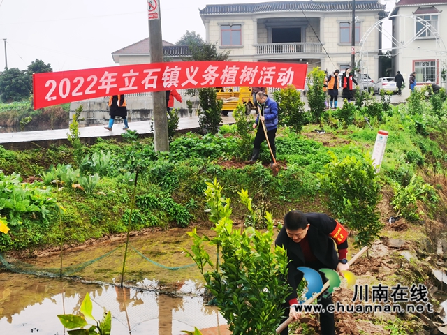 泸县立石镇开展2022年义务植树活动(图1) 泸县立石镇开展2022年义务植树活动(图1)