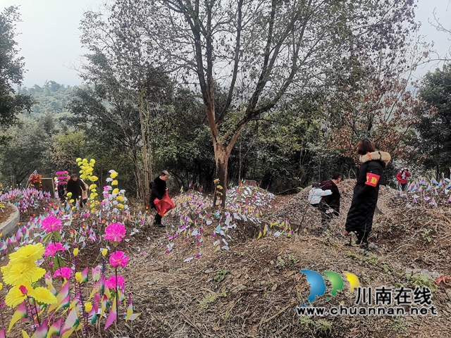 泸县云龙镇：倡导春节文明祭祀，筑牢森林防火灭墙(图3)
