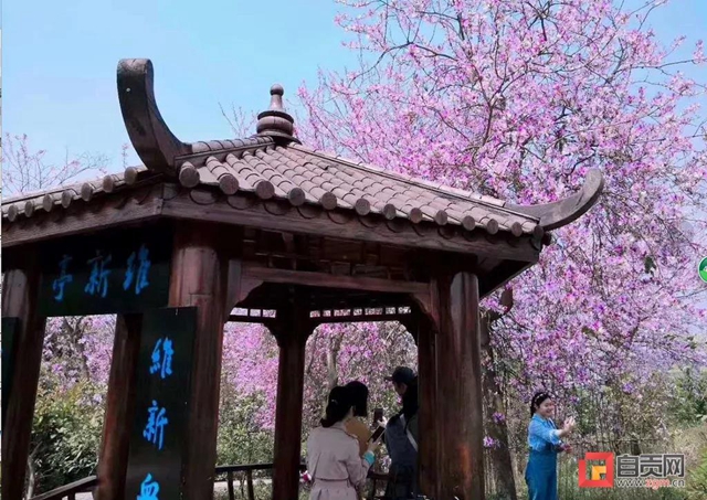 富顺赵化古镇入围国家4A级旅游景区！(图12)