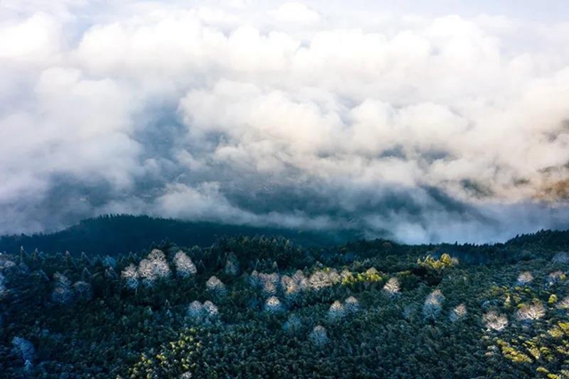 雪映丹山景别致！绝美壁纸请查收(图7)