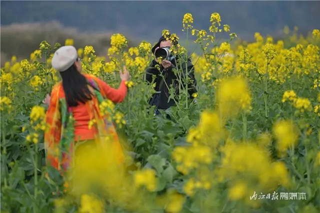 春回大地！内江这片“花海”刷爆朋友圈(图4)