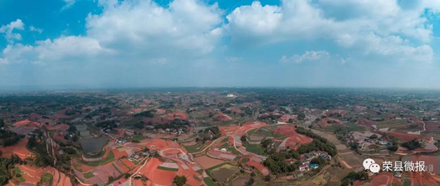 人勤春早 荣县红土地再现“大地画板”(图8)