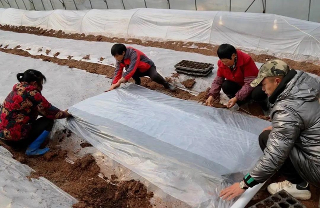 江阳：春回大地，田间地头备耕忙(图4)