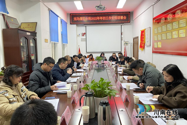 龙马潭区自然资源和规划分局召开年初工作安排部署会(图1)