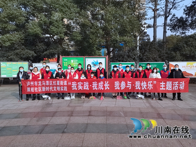龙马潭区双桂社区开展“我实践•我成长•我参与•我快乐”文明实践活动(图5)